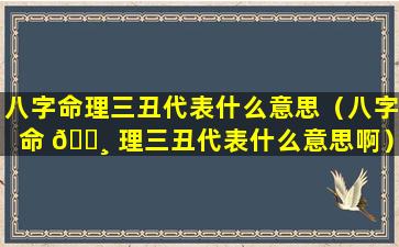 八字命理三丑代表什么意思（八字命 🌸 理三丑代表什么意思啊）